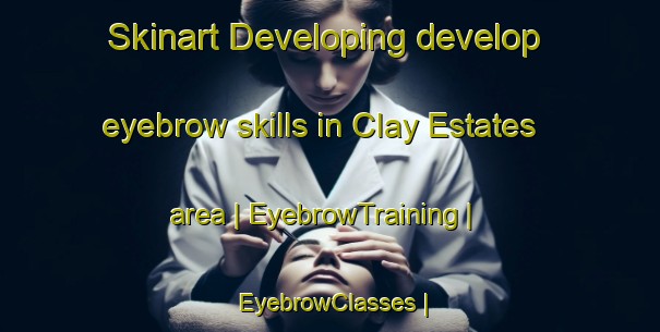 Skinart Developing develop eyebrow skills in Clay Estates area | EyebrowTraining | EyebrowClasses | SkinartTraining-United States